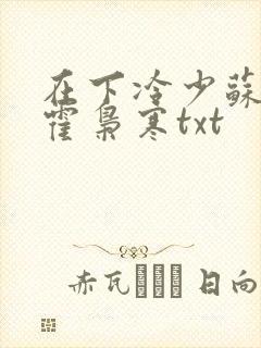 在下冷少苏婉,霍枭寒txt封面