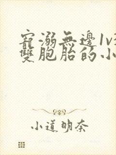 宠溺无边1v3双胞胎的小说