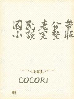 国民老公带回家小说完整版