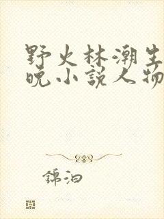 野火林潮生林晚晚小说人物野火