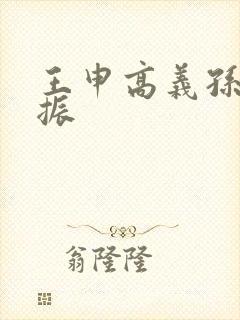 王申高义孙倩赵振