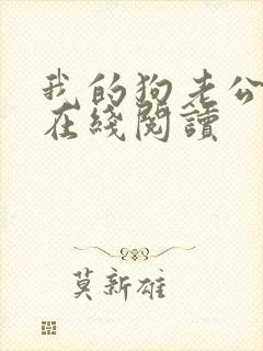 我的狗老公小说在线阅读