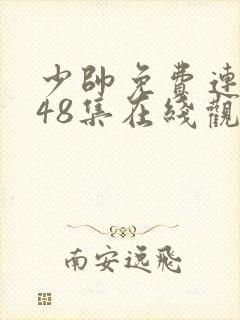 少帅免费连续剧48集在线观看高清版