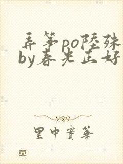 弄筝po陆殊词by春光正好封面