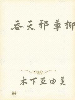 吞天邪尊柳无邪