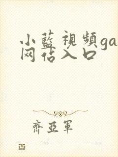 小蓝视频gay网站入口