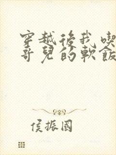 穿越后我吃到了哥儿的软饭炉山灰封面