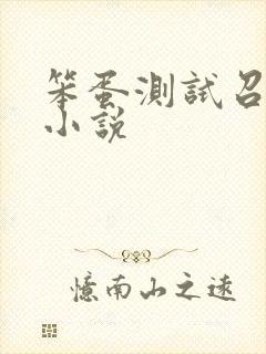 笨蛋测试召唤兽小说