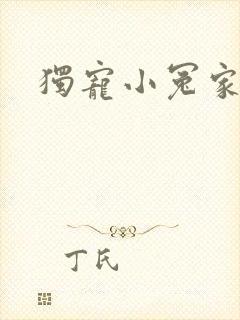 独宠小冤家封面