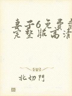 妻子6免费观看完整版高清电视剧封面