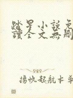 踏星小说免费阅读全文无删减封面