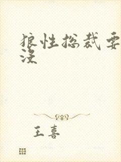 狼性总裁要够了没