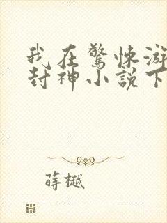 我在惊悚游戏里封神小说下载