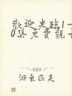 欢迎光临1—40集免费观看