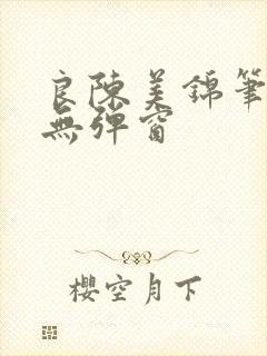 良陈美锦笔趣阁无弹窗