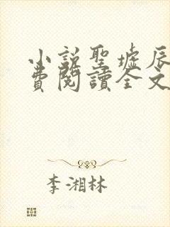 小说圣墟辰东免费阅读全文无窗口封面