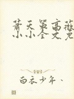 萧天策高薇薇高小小全文免费阅读