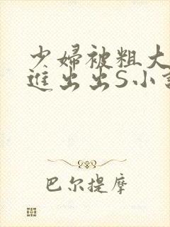 少妇被粗大猛进进出出S小说