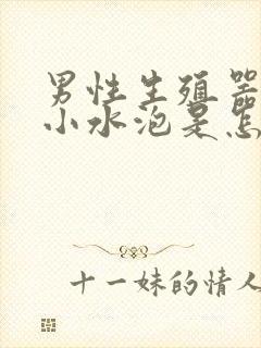 男性生殖器上长小水泡是怎么回事呢