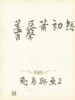 叶辰萧初然听书有声封面