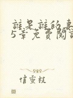 谁是谁的妻第15章免费阅读笔趣阁