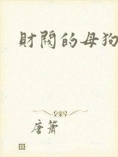 财阀的母狗们封面
