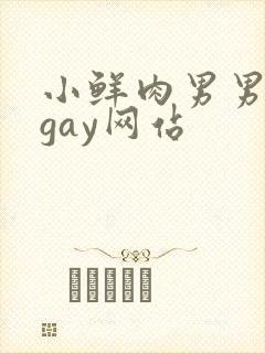 小鲜肉男男同性gay网站封面