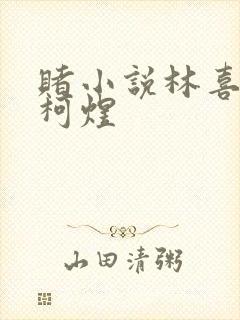 赌小说林喜朝和柯煜