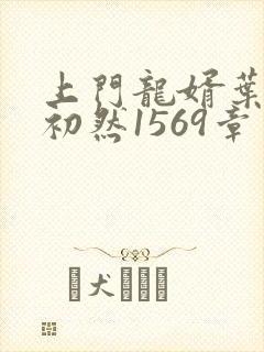 上门龙婿叶辰萧初然1569章了