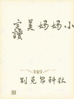 完美妈妈小说阅读封面