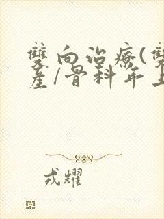 双向治疗(双/产/骨科年上)