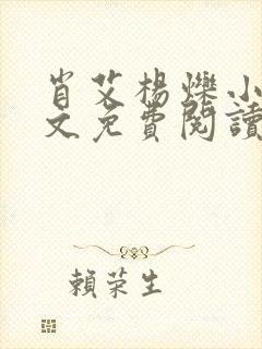 肖艾杨烁小说全文免费阅读笔趣阁封面