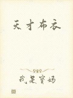 天才布衣封面