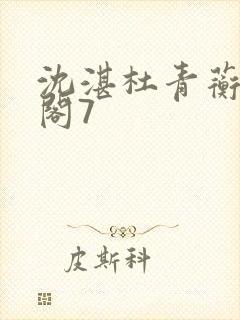 沈湛杜青蘅笔趣阁7