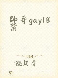 帅哥gay18禁