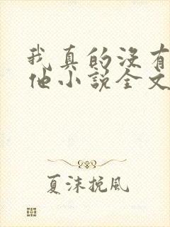 我真的没有引诱他小说全文免费阅读笔趣阁