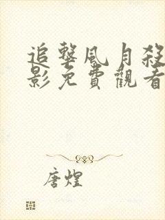 追击风月杀手电影免费观看完整版封面