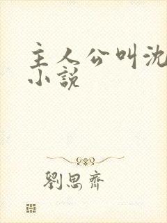 主人公叫沈默的小说