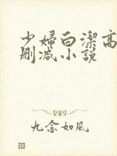 少妇白洁高义无删减小说