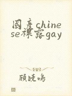 国产chinese裸露gay