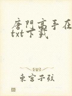 唐门高手在异世txt下载