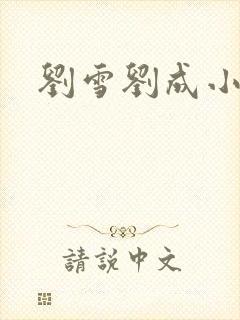 刘雪刘成小说封面