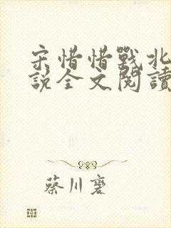 宋惜惜战北望小说全文阅读