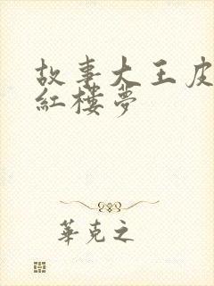 故事大王皮皮讲红楼梦封面
