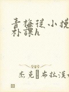青梅从小摸到大补课h
