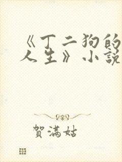 《丁二狗的逍遥人生》小说
