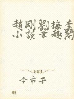 赵刚刘梅李晓雅小说笔趣阁封面