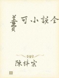 姜可小说全文免费封面