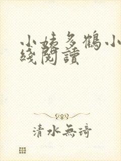 小姨多鹤小说在线阅读封面