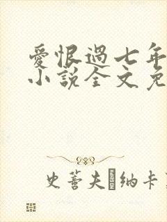 爱恨过七年原著小说全文免费阅读